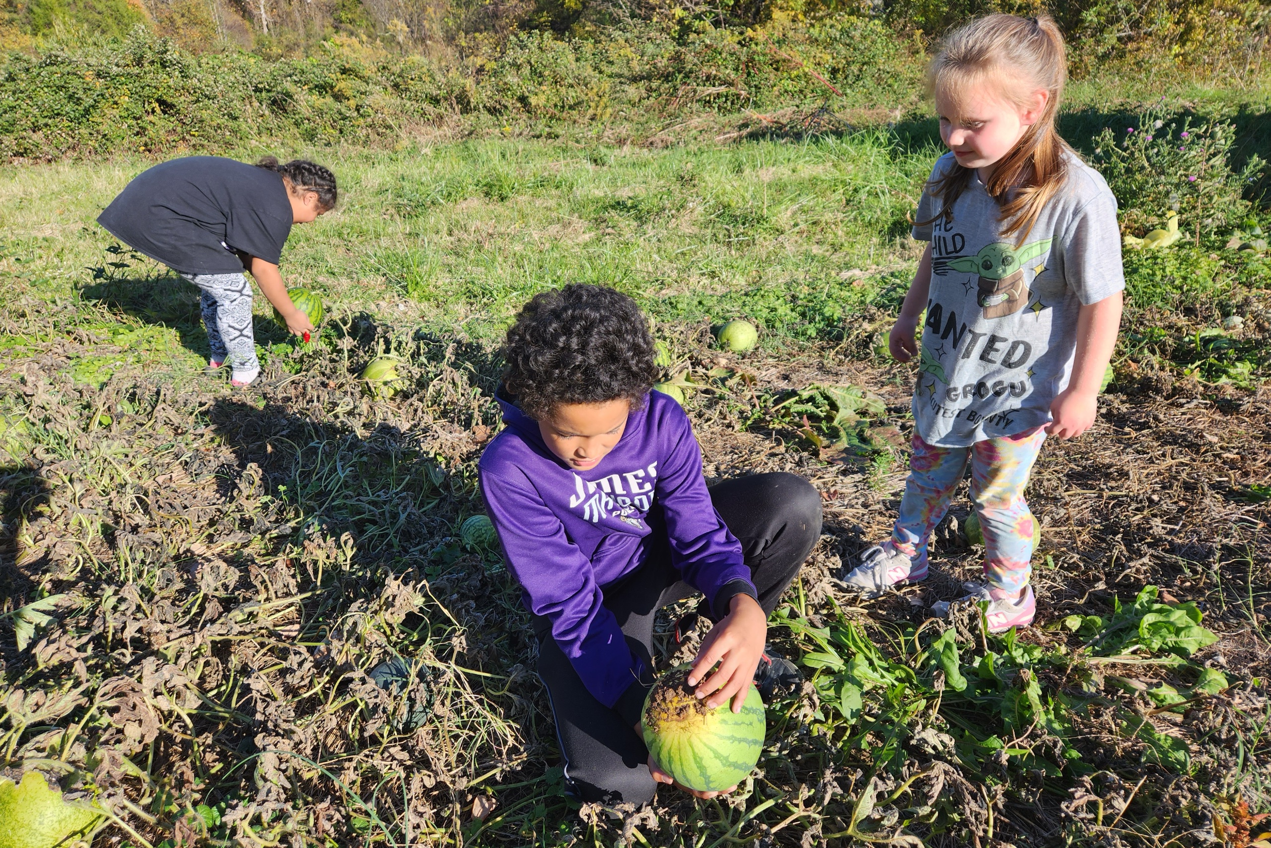 Kids Harvesting