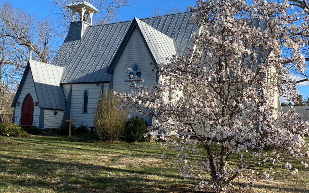 Culpeper and Catlett: More New Partners in Christ